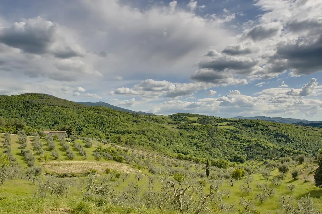 Farm stay Agriturismo Bindozzino Castiglione d'Orcia Italy