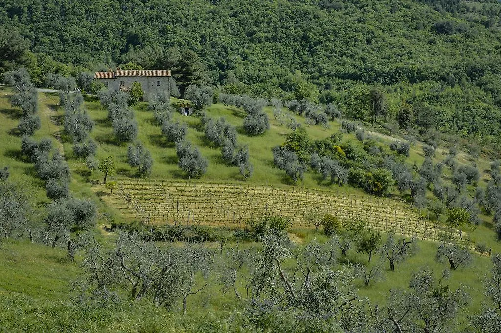 Farm stay Agriturismo Bindozzino Castiglione d'Orcia